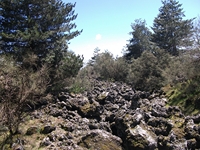 Serra_Buffa - Eruzione_1865_20110417 103.jpg